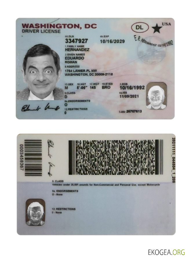 USA Washington DC driving license